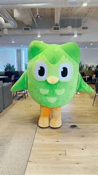 Duolingo GIFs on GIPHY .